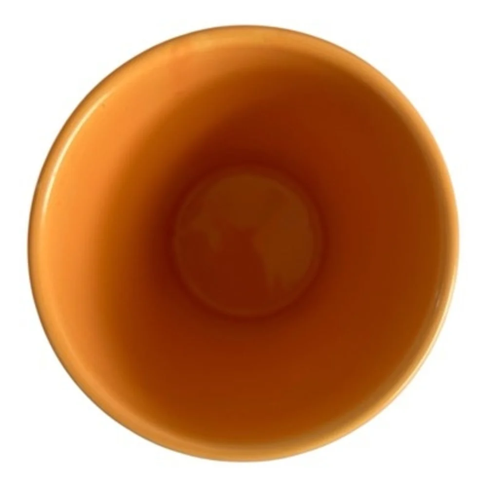 Edible Arrangements Custom Bright Orange Pottery Vase 4.75